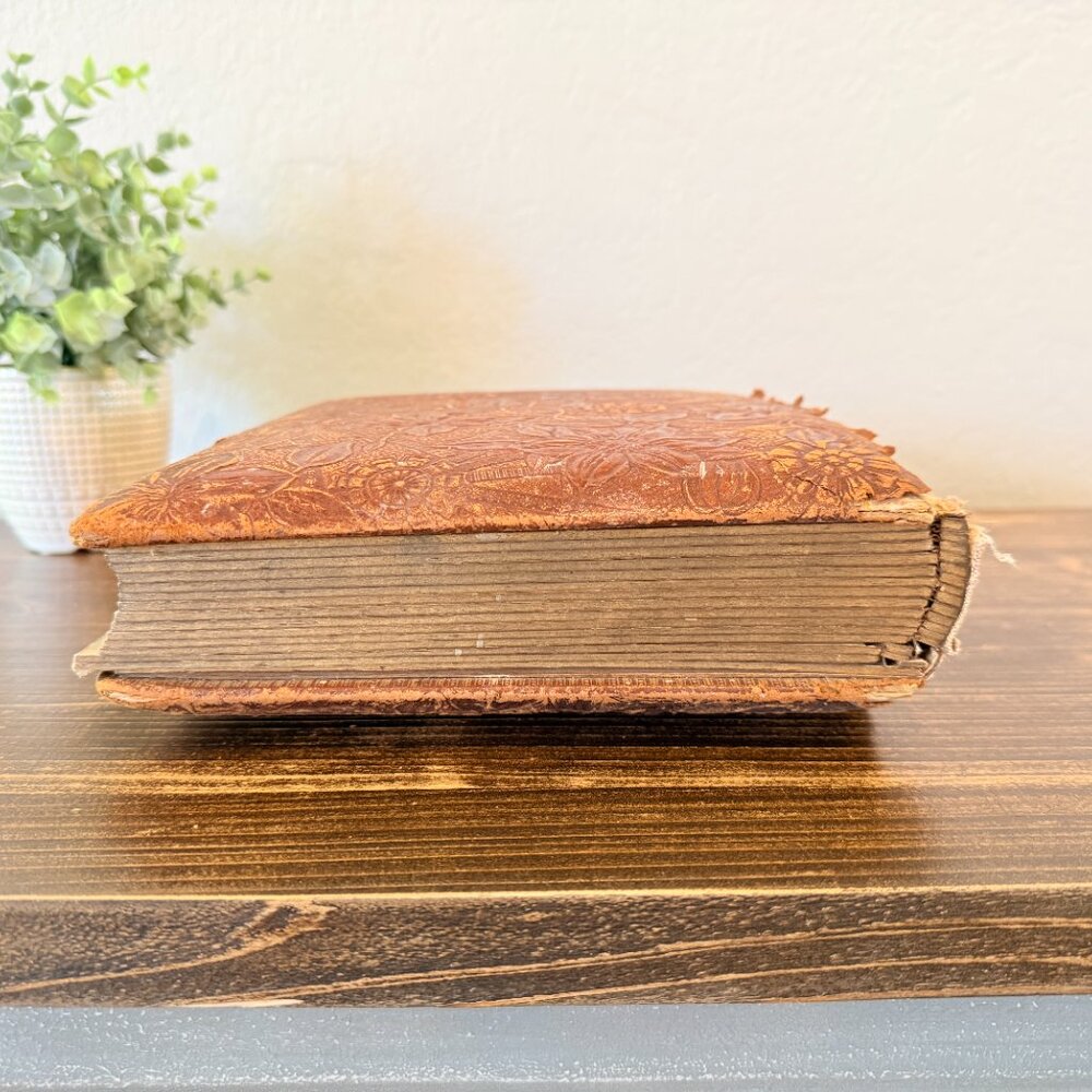142-Year-Old Victorian Leather Photo Album with 15 Photos - Picture 17 of 17